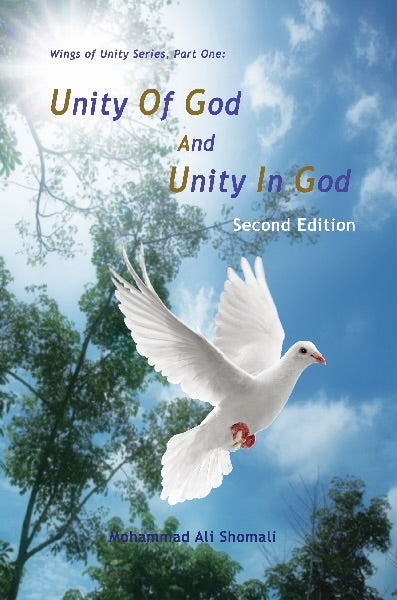 Unity of God and Unity in God (2nd Edition)